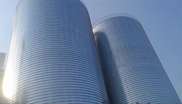 垦利2座混凝土高架卷板仓